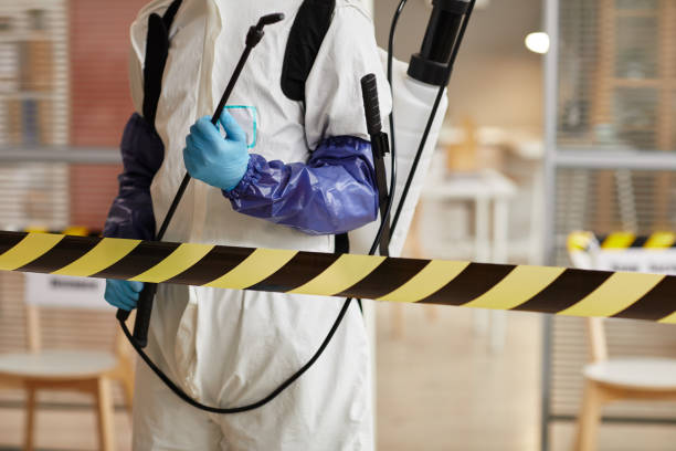 Professional Blood Cleanup technician working in Bridgeport, TX